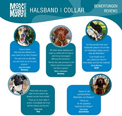 Max & Molly-Dog & Puppy Gallér, a Hatalom Csat, Szórakoztató Stílus Kicsi, Közepes, Nagy Kutyák & Kiskutyák, Vízálló, Kényelmes,