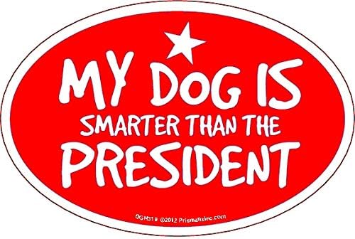 A Kutya Okosabb, Mint Az Elnök