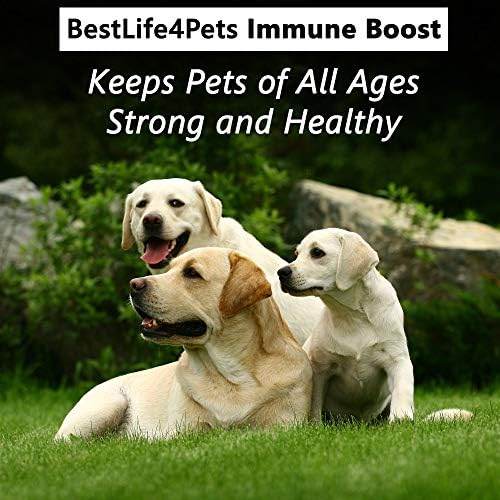 BestLife4Pets Kutya Egészségügyi Combo - Kutya Természetes Vitaminok, Kiegészítők - Természetes, Könnyen veszi - 2 x 450