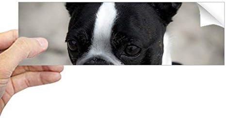 DIYthinker Bulldog Kedvtelésből Tartott Állat Sötét Képet Téglalap Matricát Notebook Ablak Matrica