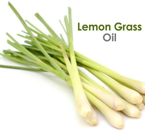 Crysalis Lemon Grass (Cymbopogon Citratus) | Pure & Natural Hígítatlan illóolajat Szerves Standard l a Szoba Illatszer,