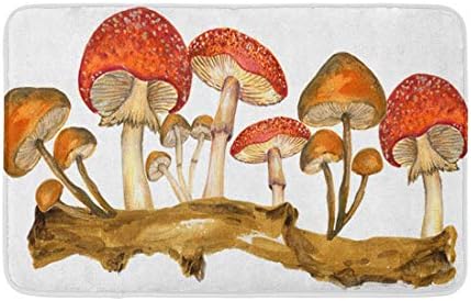 Topyee Fürdőszoba Decor 16 X 24 Szőnyeg Akvarell Botanikus Ősz, Őszi Erdő Meghatározott Elemeket Kézzel Festett Gouache A