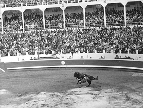 Vintage fotó, a Stadion tele néző nézi El Cordob233;s harci bika a bika gyűrűt.- 1965